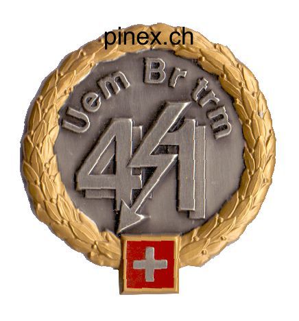 Immagine di Übermittlungsbrigade 41 GOLD Béretemblem