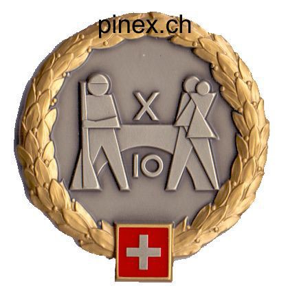 Bild von Territorialbrigade 10 GOLD Béret Emblem 