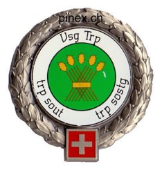 Bild von VSG Truppen  Béret Emblem