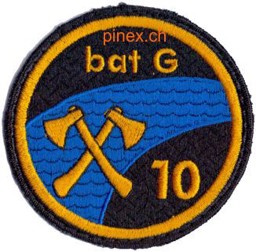 Immagine di Genie Bataillon 10 Armee 95 Abzeichen