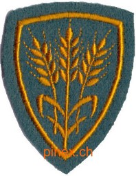 Immagine di Kommissariats Offizier Spezialistenabzeichen Schweizer Armee