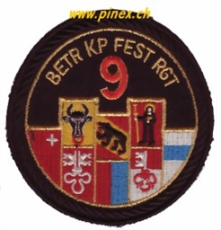Picture of Betr Kp Festungsregiment 9 Rand schwarz Armee 95 Abzeichen