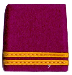 Bild von Oberleutnant Gradabzeichen Schulterpatten Logistik. Preis gilt für 1 Stück 