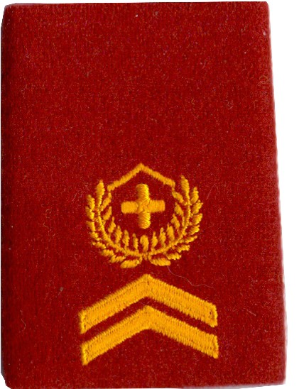 Image de Sergent-major insigne de grade passants dépaule troupes d'artillerie,  prix pour 1 pièce