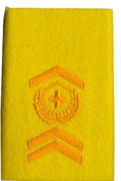 Picture of Warrant Officer Epaulette colours Armoured Corps