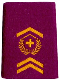 Image de Adjudant sous-officier insigne de grade passants d'épaule troupes logistique,  prix pour 1 pièce