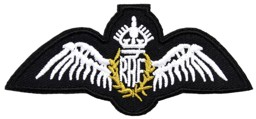 Picture of Spitfire Patches 100mm