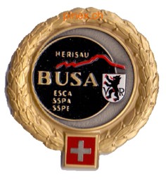 Picture of BUSA Herisau Gold Beret Emblem Schweizer Armee. Mit allen 4 Stiften offen. Auf Styropor aufgesteckt für den Versand.
