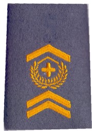 Picture of Adjutant Unteroffizier Rangabzeichen Schulterpatten Militärpolizei. Preis gilt für 1 Stück 