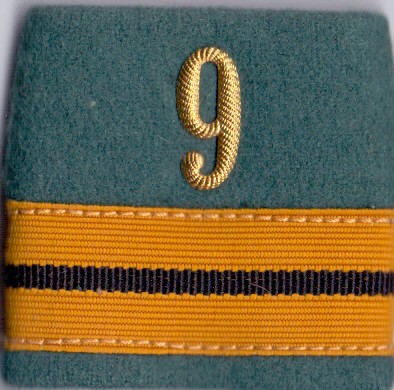 Image de Oberstleutnant Rangabzeichen Schulterpatte Versorgungstruppen. Preis gilt für 1 Stück 