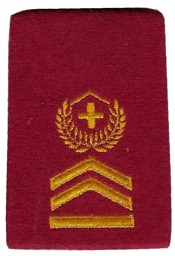 Bild von Hauptfeldweibel Rangbzeichen Luftschutz Karmesinrot. Preis gilt für 1 Stück