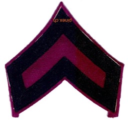 Immagine di Motorfahrer Abzeichen violett 1940 Schweizer Armee 