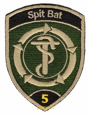 Picture of Spit Bat 5 Spital Bataillon 5 schwarz mit Klett Armeebadge