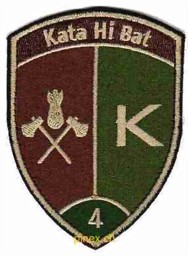 Picture of Kata Hi Bat 4 grün mit Klett Katastrophenhilfe