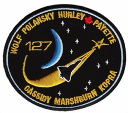 Picture of STS 127 Endeavour Badge Space Shuttle 