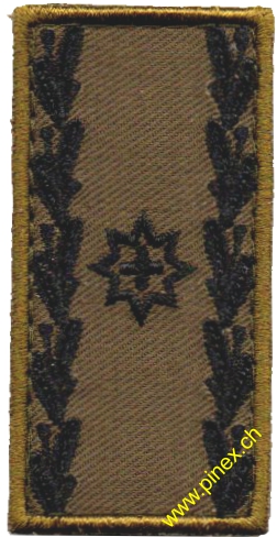 Bild von Brigadier Gradabzeichen Armee 21 (gestickte Ausführung)