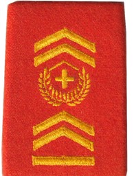 Image de Hauptadjutant Rangabzeichen Schulterpatte Territorialdienst. Preis gilt für 1 Stück 