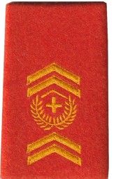 Image de Stabsadjutant Rangabzeichen Schulterpatte Territorialdienst. Preis gilt für 1 Stück 