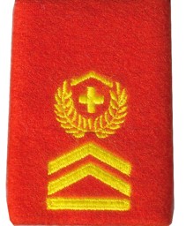 Image de Hauptfeldweibel Rangabzeichen Schulterpatte Territorialdienst. Preis gilt für 1 Stück 