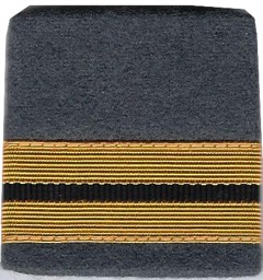 Picture of Oberstleutnant Gradabzeichen Schulterpatten Militärpolizei. Preis gilt für 1 Stück 