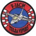 Picture of 125th Fighter Squadron F-16 CM 