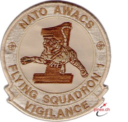 Immagine di Nato Awacs Flying Squadron 1 Abzeichen Patch Sand Tarn