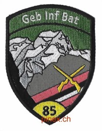 Picture of Geb Inf Bat Gebirgsinfanteriebataillon 85 gelb ohne Klett