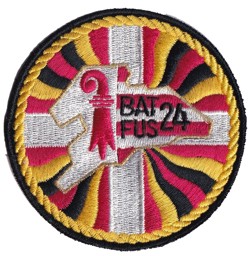Picture of Bat Fus 24 gelb Armee 95 Badge