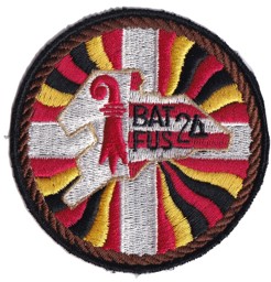 Picture of Bat Fus 24 braun Armee 95 Badge