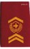 Image de Adjudant-sous-officier-insigne-de-grade-passants-dépaule-troupes-d'artillerie,  prix pour 1 pièce