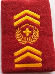 Image de Hauptadjutant Rangbzeichen Artillerie. Preis gilt für 1 Stück