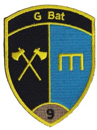 Image de Genie Bataillon 9 gold Badge ohne Klett