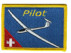 Picture of Glider Pilot Switzerland