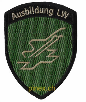 Immagine di Ausbildung Luftwaffe mit Klett Badge Lw