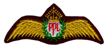 Picture of Privatpiloten Abzeichen PPL Wings