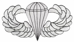Immagine di Fallschirmspringer Airborne Basic Jump Wings Abzeichen