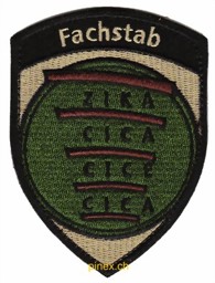 Picture of Fachstab ZIKA mit Klett Armee 21 Badge