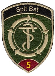 Picture for category Medical corps Patches