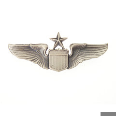 Immagine di US Air Force Senior Pilot Wings Metall Uniformabzeichen