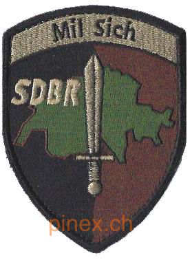 Immagine di Mil Sich SDBR Schutz Detachement Bundesrat Abzeichen mit Klett