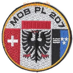 Bild von Mob Pl 207 Badge Abzeichen Armee 95