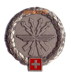 Picture of LVb FU 30 Béret Emblem Lehrverband Führungsunterstützung Luftwaffe