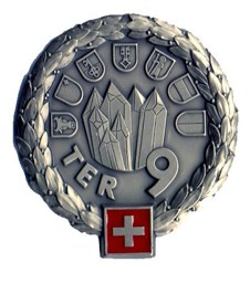 Image de Territorialdivision 9 Insigne Béret Armée Suisse