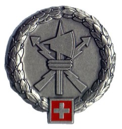 Image de Führungsunterstützungsbrigade 41 Beret Emblem