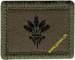 Picture of Supply soldier Swiss Army Function Insignia