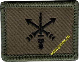 Immagine di Armeeaufklärungsdetachement AAD-10 Armee 21 Abzeichen