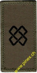 Picture of Logistic Corps Swiss Army Branch Insignia