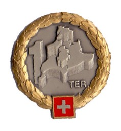 Image de Territorialdivision 1 GOLD Béret Emblem