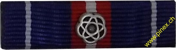 Bild von Auszeichnung für 450 Diensttage Silber Armee 21 Ribbon