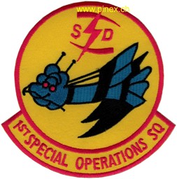 Picture of 1st Special Operation Squadron Abzeichen